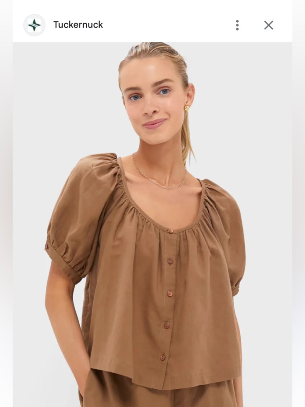 Tuckernuck Brown Puff-Sleeve Button Front Blouse